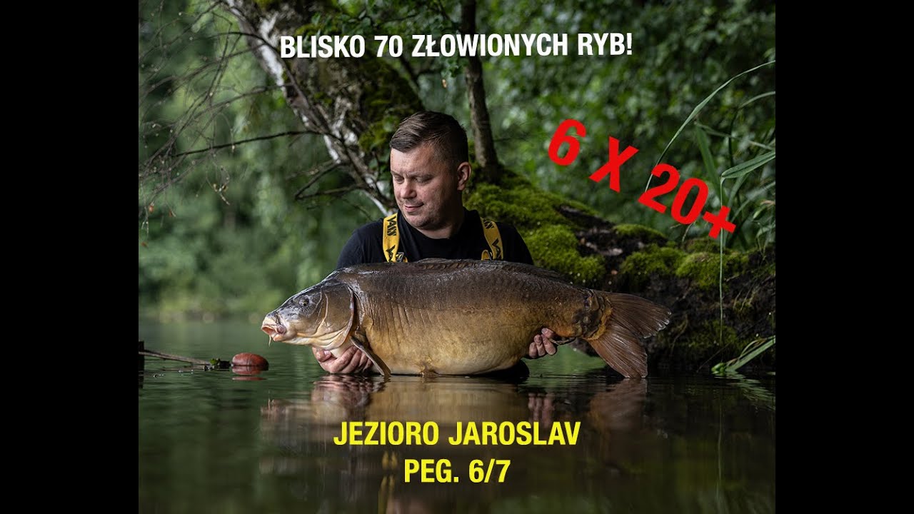 Jezioro Jaroslav - Stanowisko 6/7