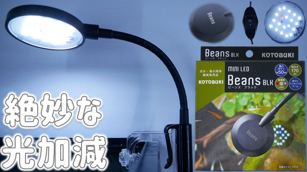 【LED照明】安くてオシャレな明るすぎない優れ物。中間スイッチ付きで両水槽対応の超小型ボディ。コトブキ ミニLEDビーンズブラック【ふぶきテトラ】
