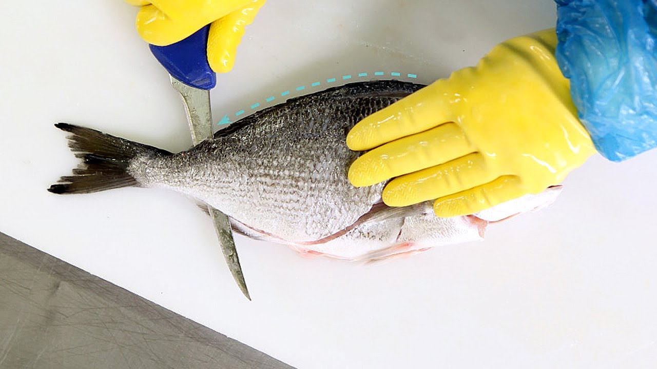 Dorade filetieren - Die Fischexperten von Deutsche See zeigen, wie es geht