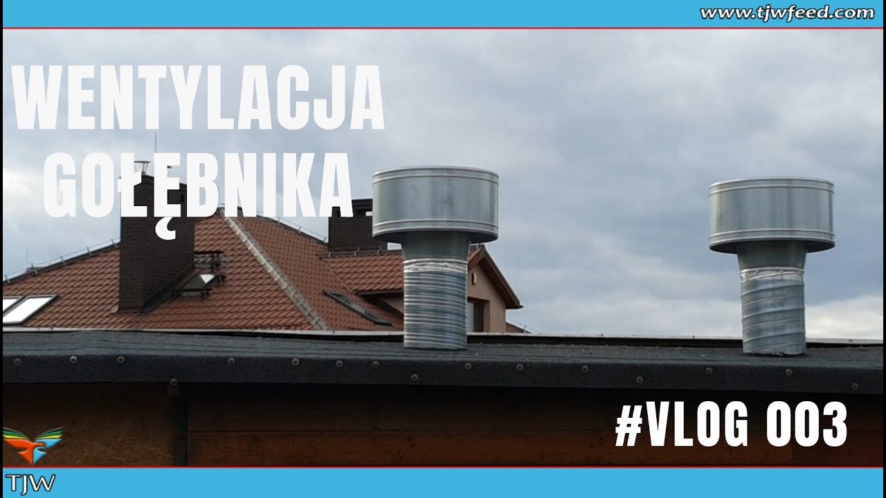 Dzień z życia Hodowcy Wentylacja Gołębnika #Vlog3