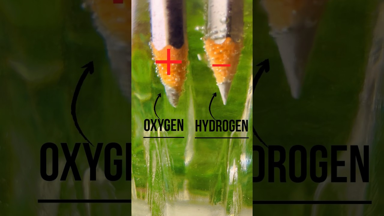 Electrolysis Of Water How To Produce Hydrogen From Water Water Electrolysis Electrolysis  #shorts