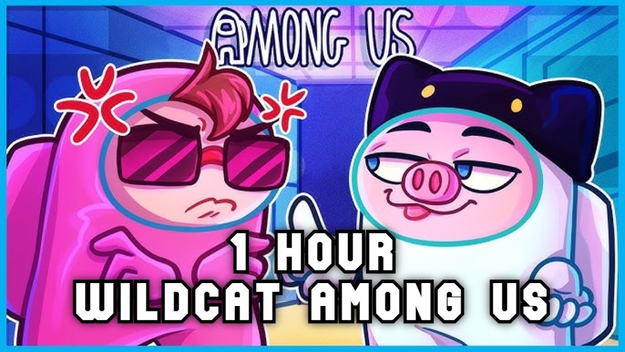 Wildcat Among Us Compilation #9 - 1 Hour - VanossGaming Compilation No Sponsors and End Cards