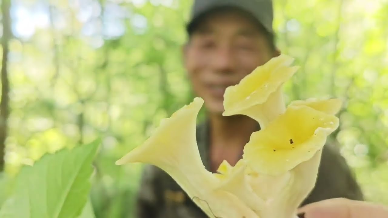 今天采蘑菇喽；老刁家谁回东方红，都得去青山，杨奶奶又整了一桌山珍美味！