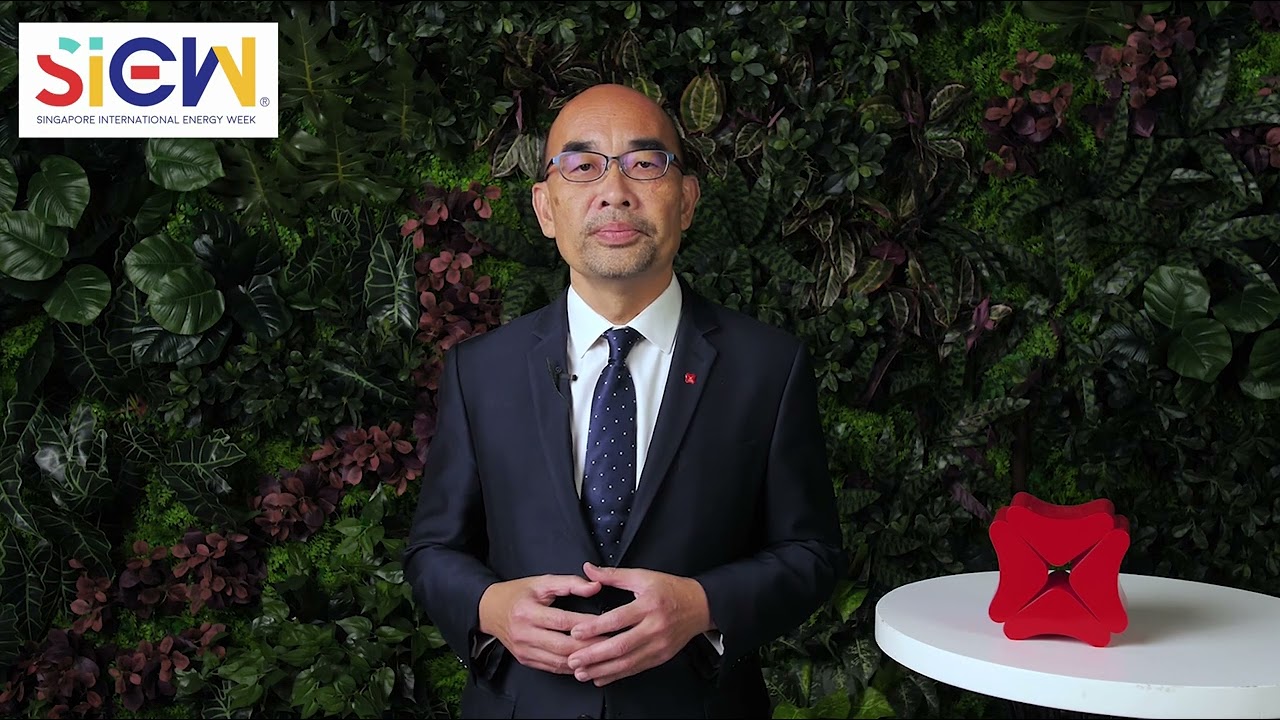 An Interview with Lim Wee Seng, Group Head of Energy, Renewables and Infrastructure, DBS Bank