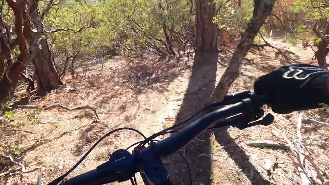 Mary Jane trail  (Bass Lake,Ca) 11/14/21