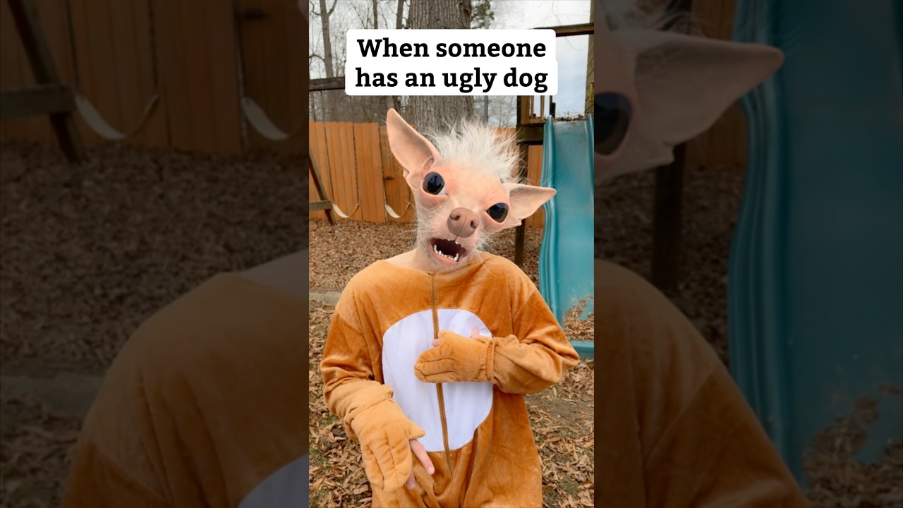 When someone has an ugly dog