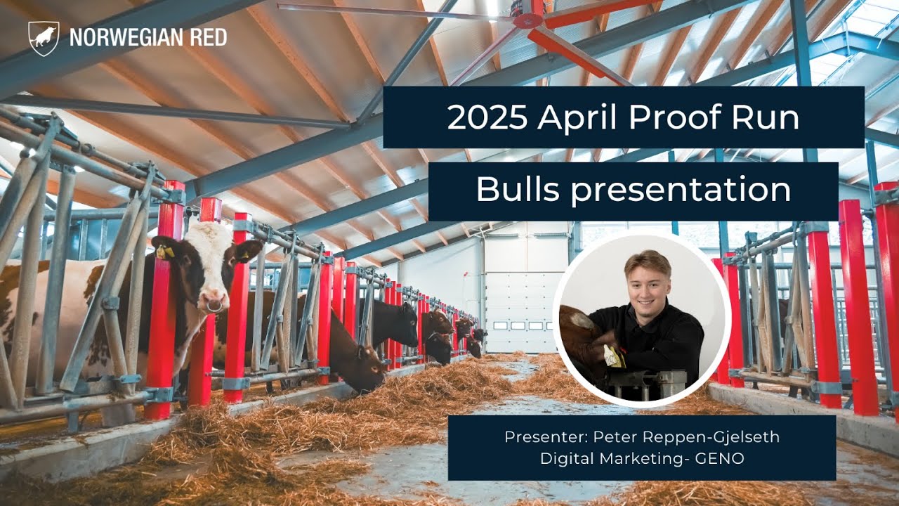 The April 2025 Proof Run - Bulls presentation