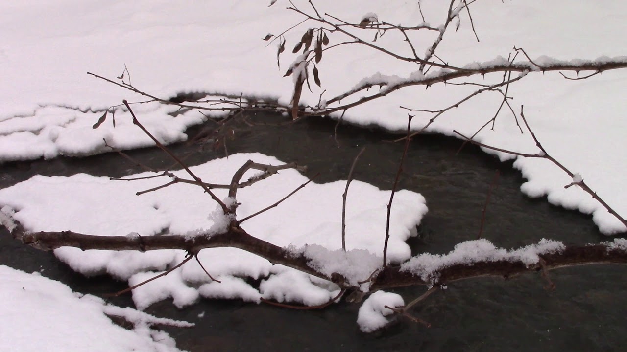 Cold Snowy Day, Coronation Park, 40 Mile Creek, GRIMSBY ONTARIO CANADA