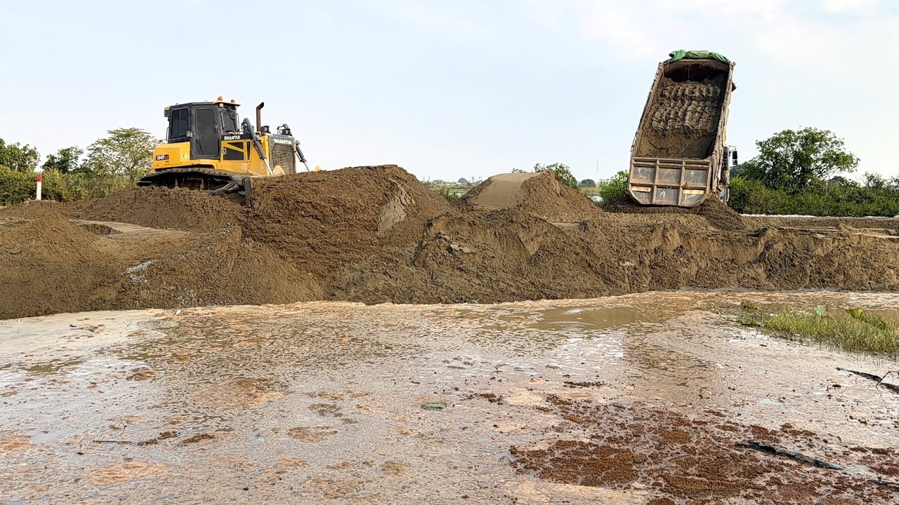 Wonderful Shantui C3 Bulldozer Push Sand With 25Ton Dump Trucks Filling Sand