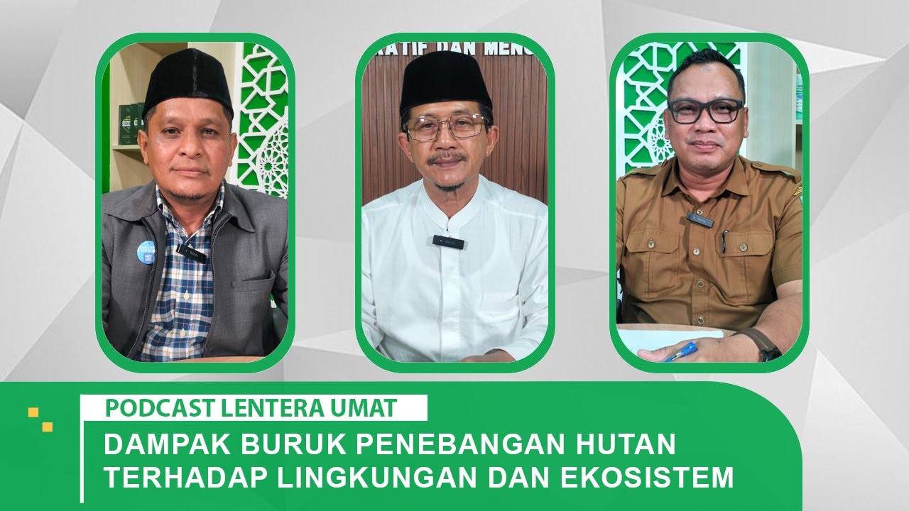 #61 Dampak Buruk Penebangan Hutan Terhadap Lingkungan dan Ekosistem