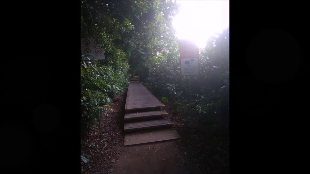 Jog Hiking @Golf Link to Jelutong Tower 2019