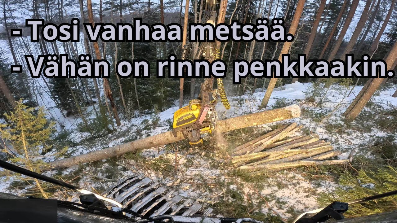 Jotain reilu 100-vuotiasta uudistushakkuuta ja vähän rinteitäkin. Ponsse Scorpion K H7 AC FC