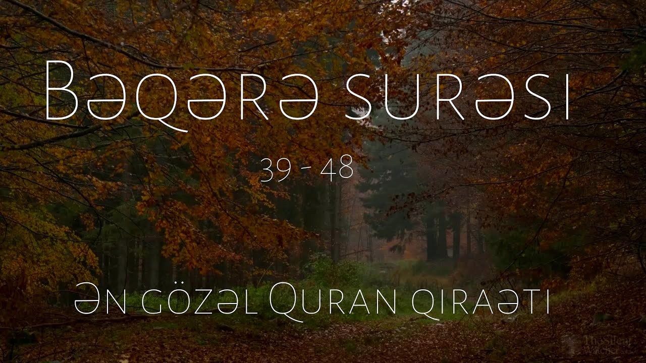 Ən g&ouml;zəl Quran qiraəti | Bəqərə surəsi 39 - 48 Sami al Kurdy | سورة البقرة