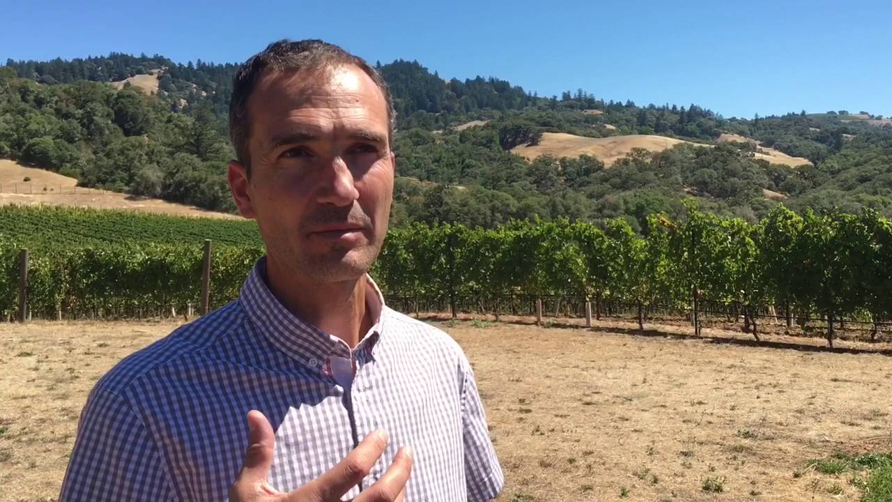 Anderson Valley winemaking