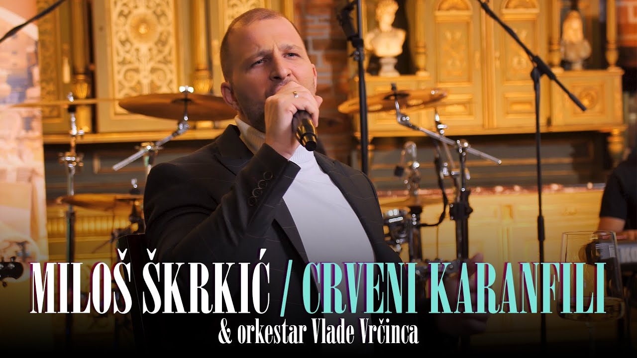 Milos Skrkic & orkestar Vlade Vrcinca - Crveni karanfili (Cover 2024)