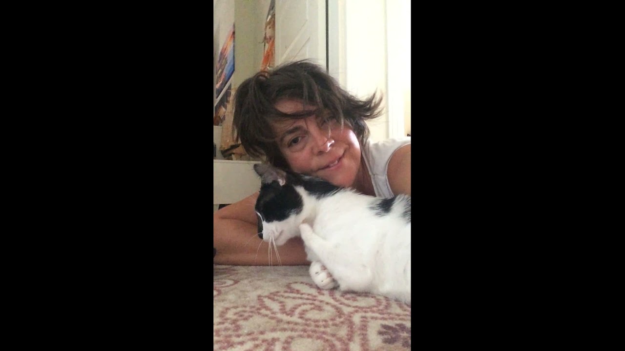 kediveköpeğindostluğu ! - #kediler #köpekler#dostluk#cats #dogs #friendship