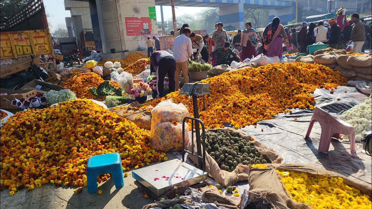 Part 2 Nangloi Phool Mandi in Delhi Wholesale Market in flower 🌼 #nangloi 