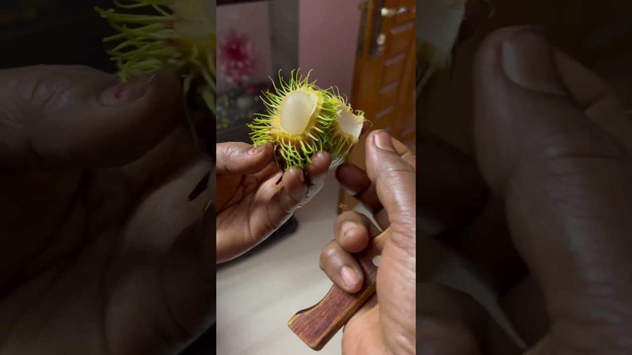 #rambutanfruit #Sapindaceae  #randomvideos #fruits