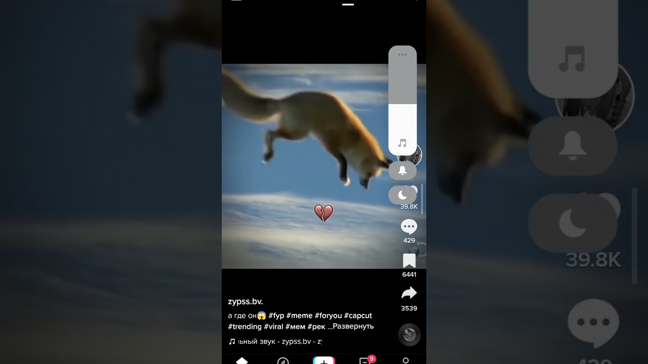 хехе #прикол #смех #лиса #fox #shorts