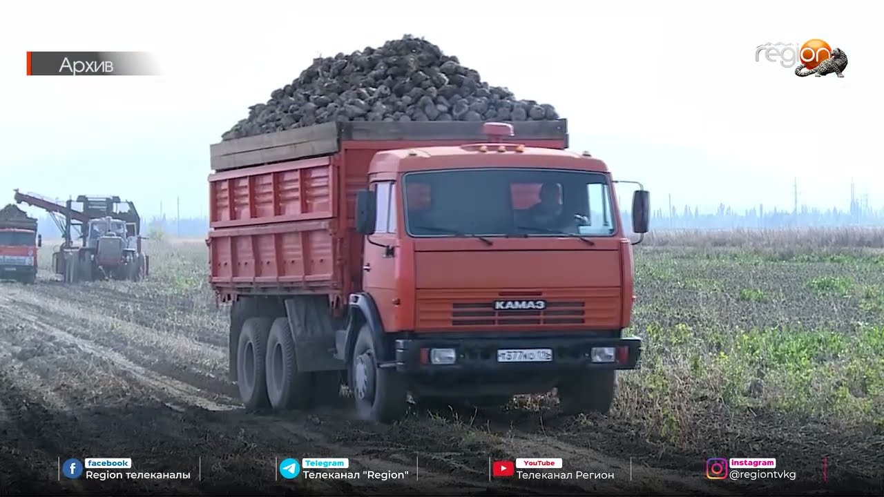КЫРГЫЗСТАНДА АЙЫЛ ЧАРБАСЫН КАТТОО БАШТАЛАТ