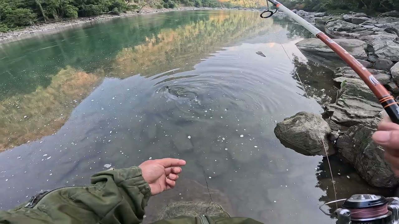 Convincing my Friend to Release Mahseer