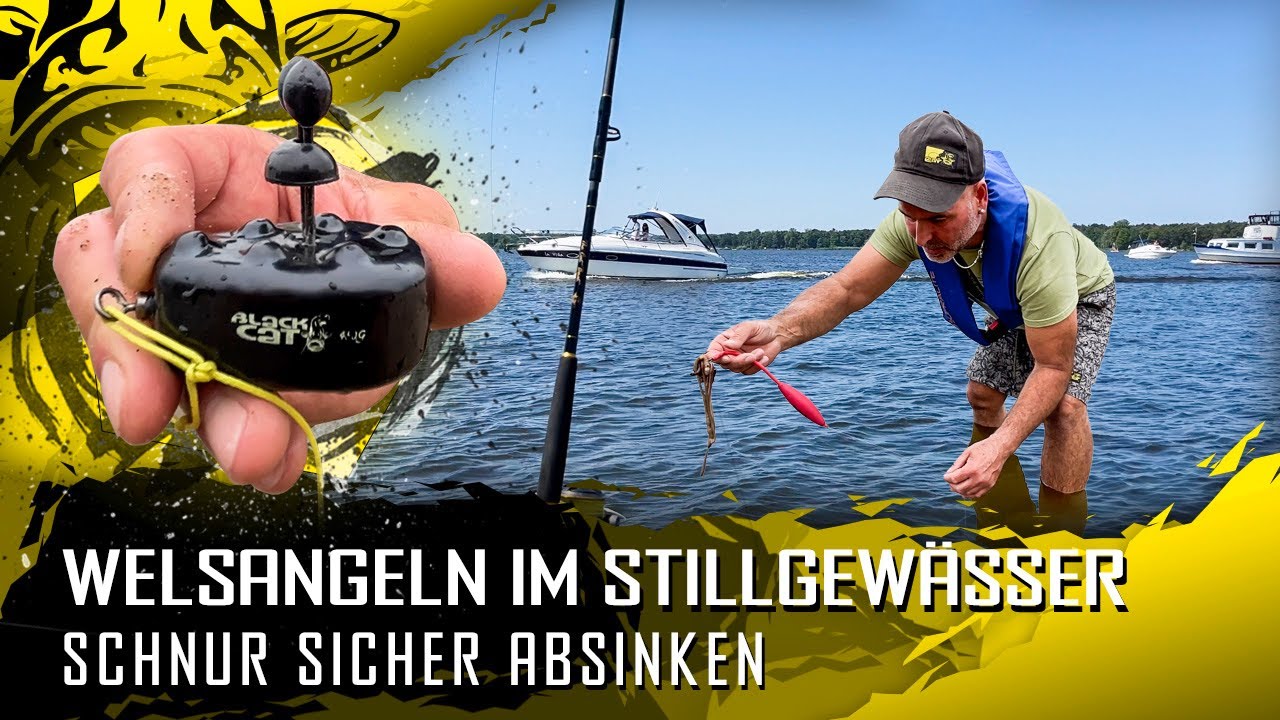 WELSANGELN im Stillgewässer | Schnur SICHER absinken | Black Cat Line Diver | Deutschlandwaller