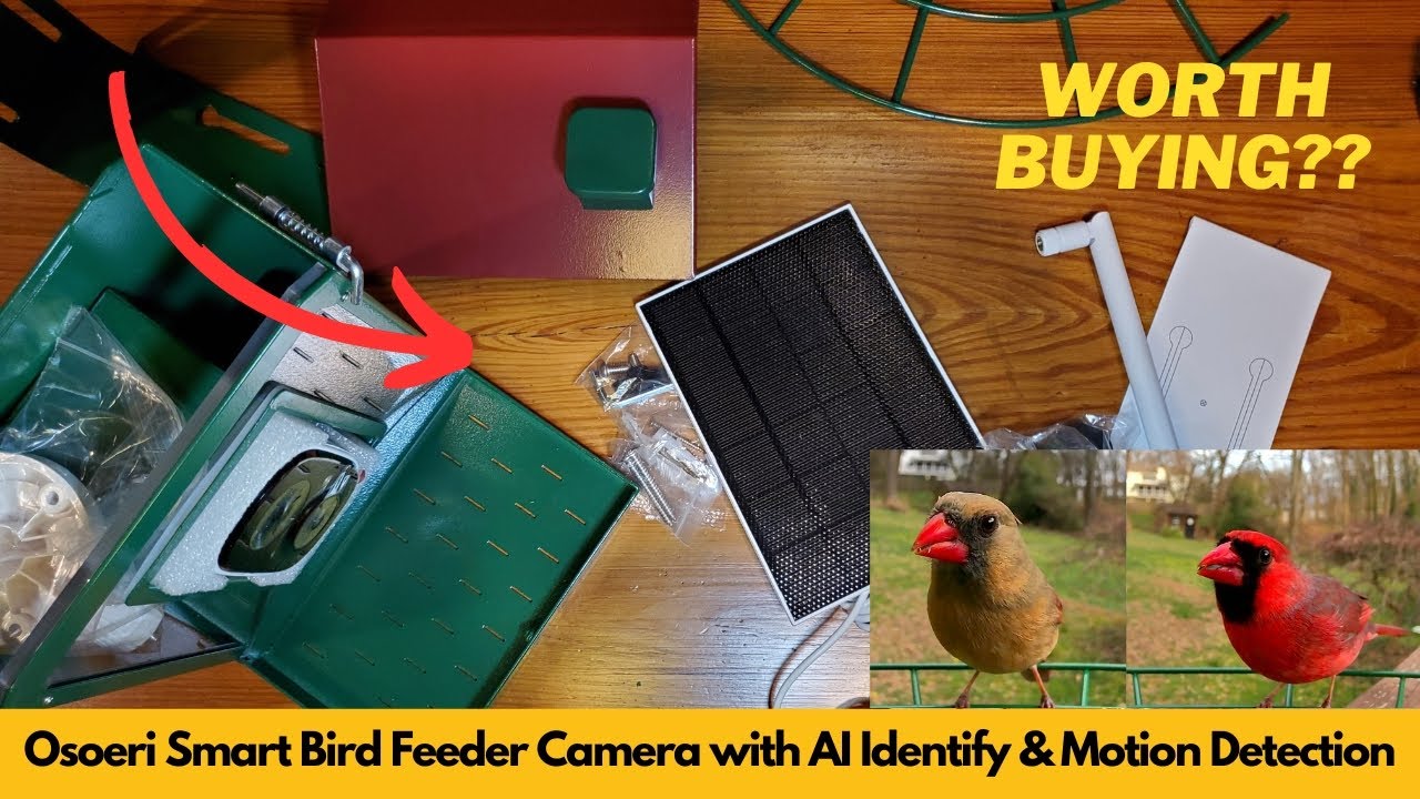 Osoeri Smart Bird Feeder Camera with AI Identify and Motion Detection | Worth Buying?