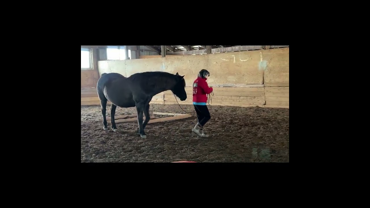Nancy Ingalls & Chelcee   February 2026 IHA Silver Liberty Course