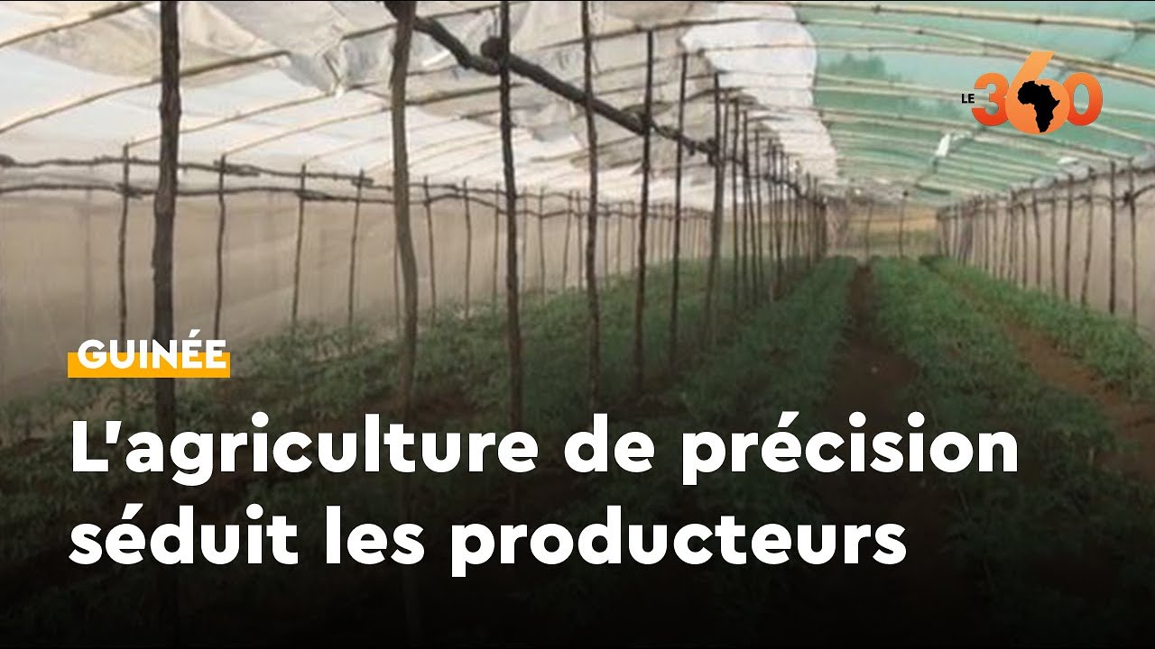 Guinée : l'agriculture sous serre, une technique en plein extension
