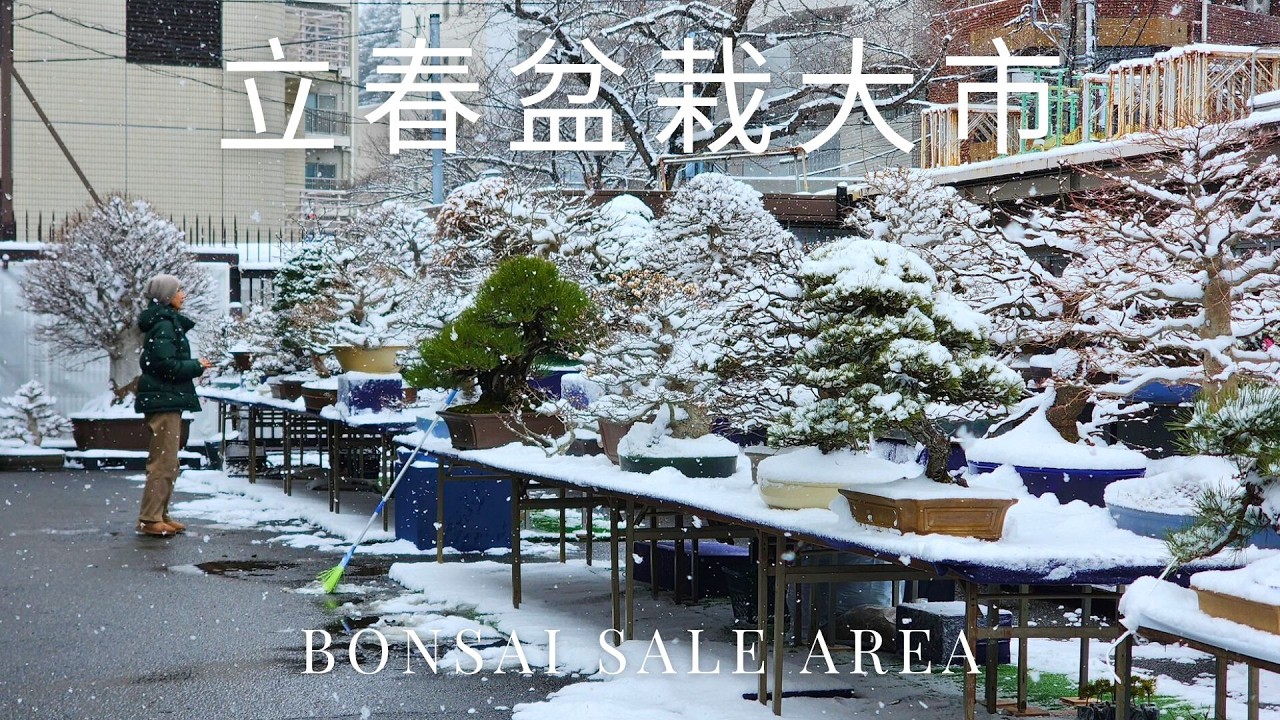 2026 Ueno Green Club - Spring Bonsai Sale (立春盆栽大市）