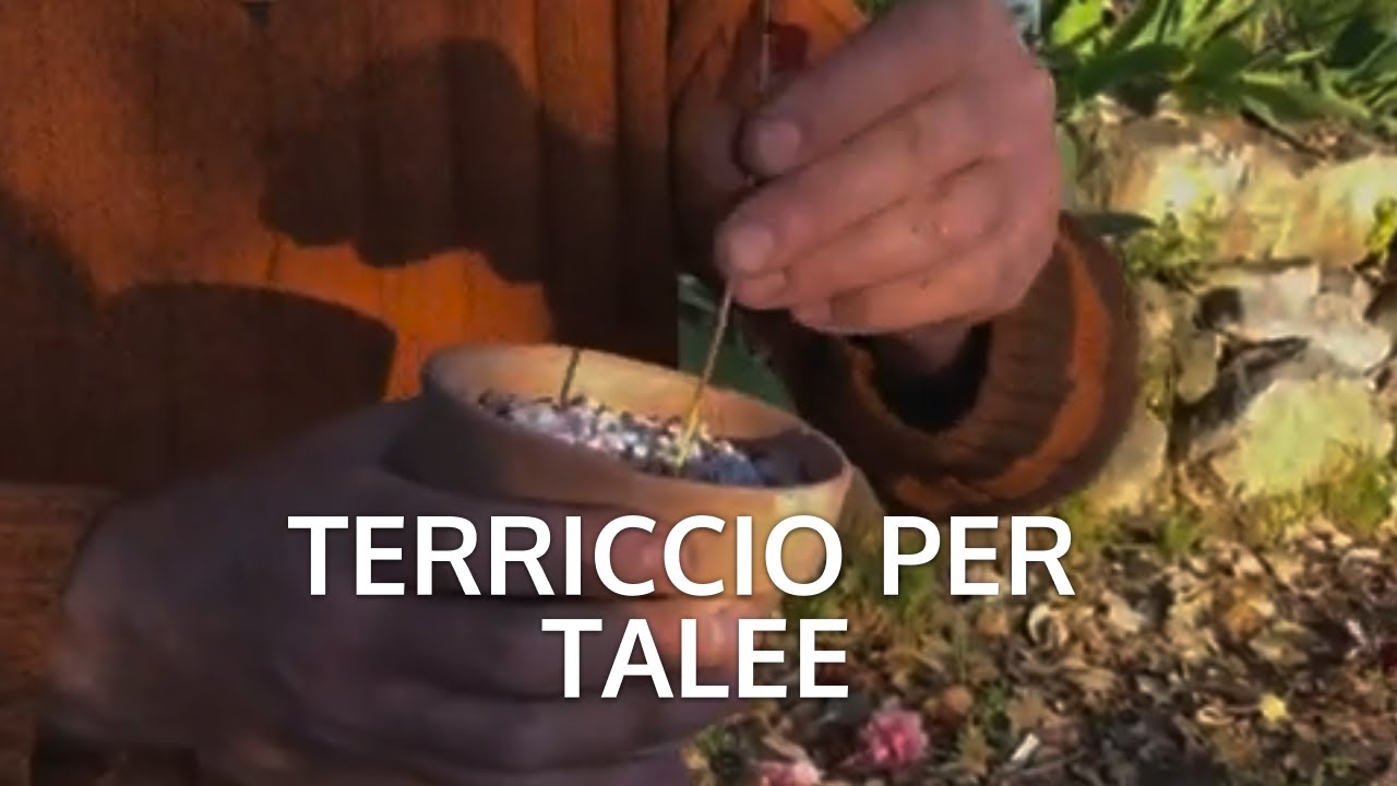 Terriccio per la radicazione delle talee
