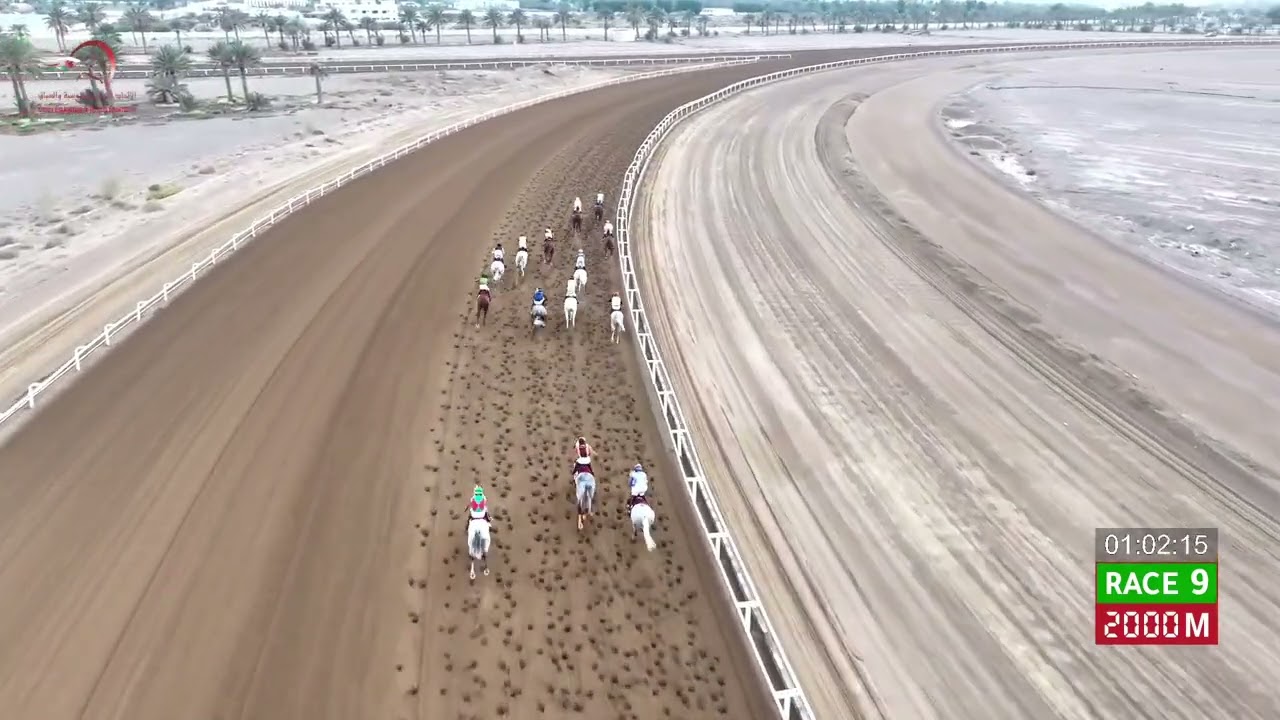 Race 9 - 16th Meeting - Rahba - 06/02/2026