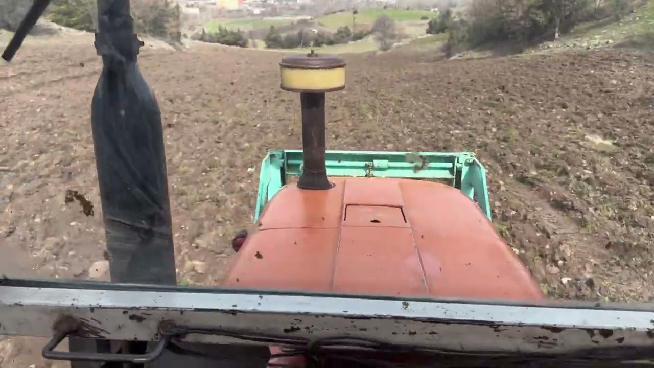 İki traktör yulaf ekimi. 