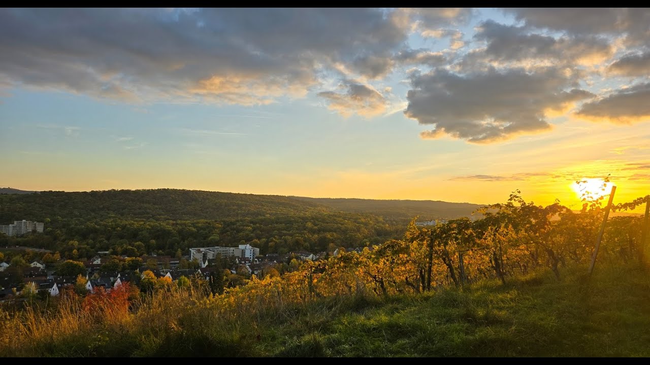 60 km Mammutmarsch Stuttgart 2025
