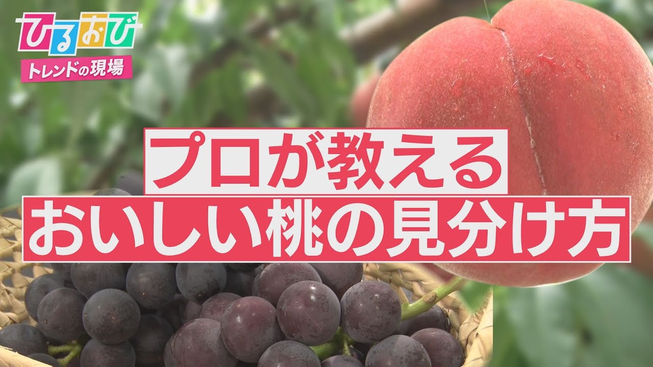 【ひるおび】桃狩り＆ぶどう狩り♪フルーツ農園でおススメの食べ方聞いちゃいました！