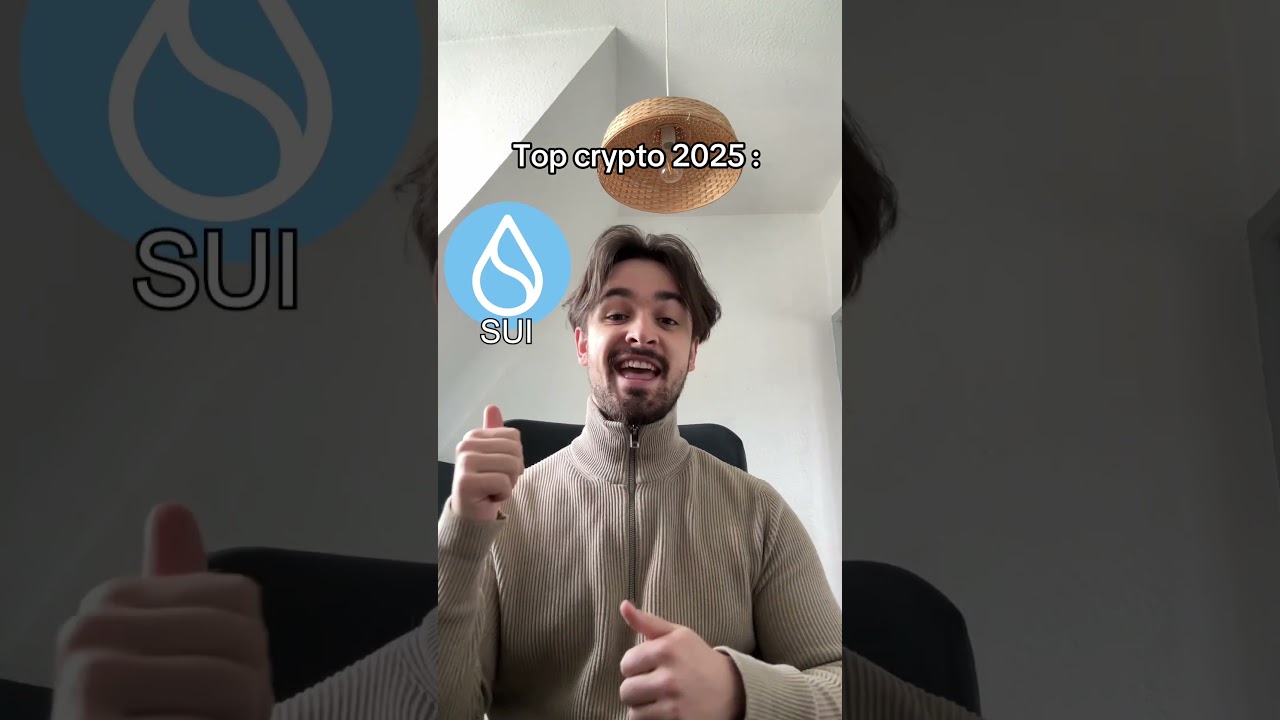 Top crypto 2025 ⚠️ Ceci n&rsquo;est pas un conseil en investissement #cryptomonnaie #crypto #bitcoin