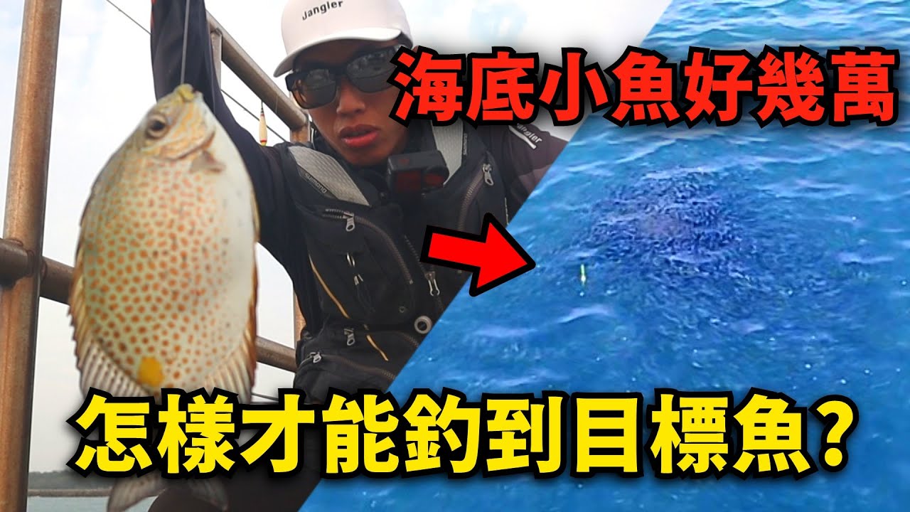 到底要怎樣才能閃過幾萬隻小魚，釣到星點臭肚 ? | 台南安平北堤磯釣