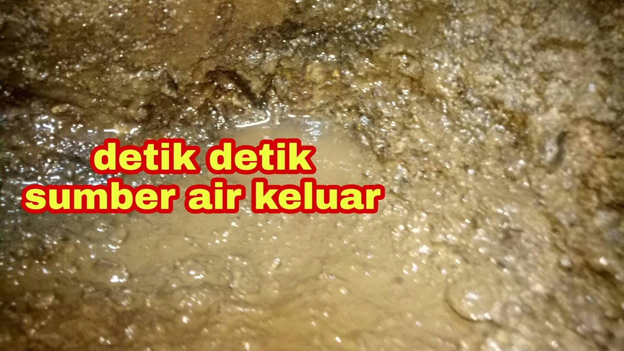 sumber air berhasil ditemukan di kedalaman 6 meter | gali sumur manual