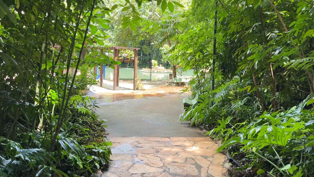 Relaxing Nature Walk in Brazil 🌿 Jardim Botânico, Anápolis | 4K