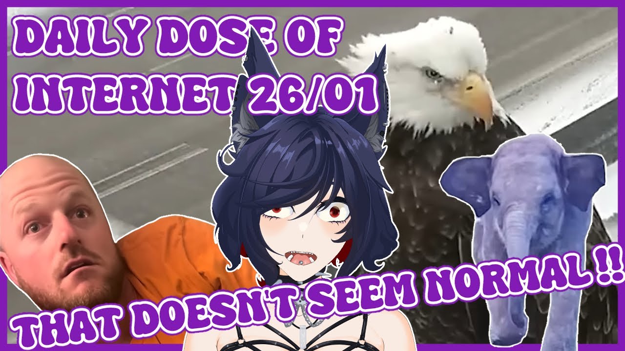 That's not normal!! | Daily Dose Compilation