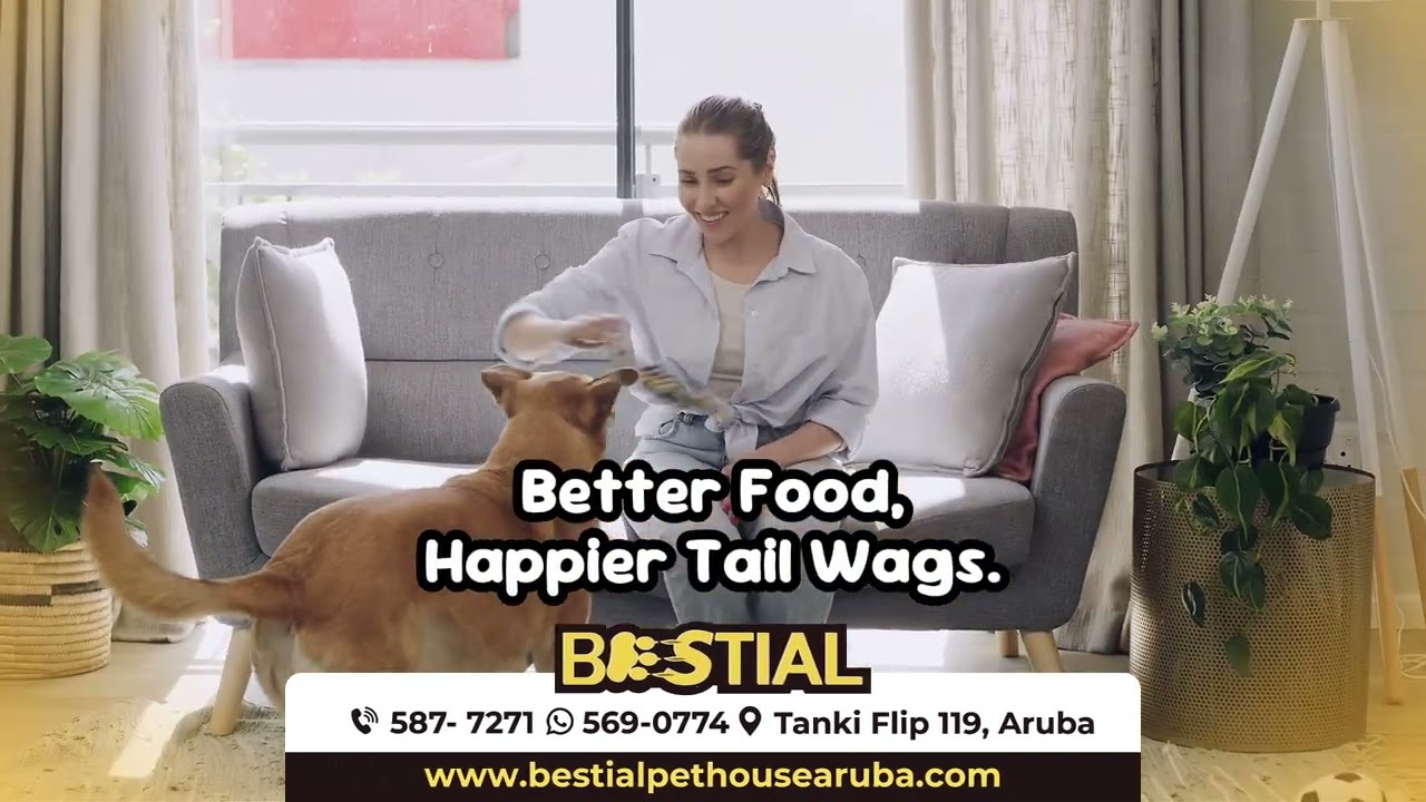 ✨ 2026 Resolution: Healthy and Happy Pets in Aruba 🐶🐱 | Bestial x Purina