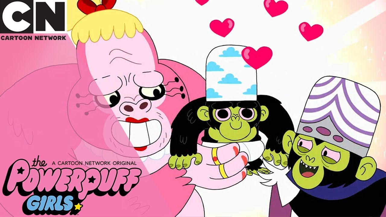 The Powerpuff Girls | Mojo Jojo Falls in Love | Cartoon Network