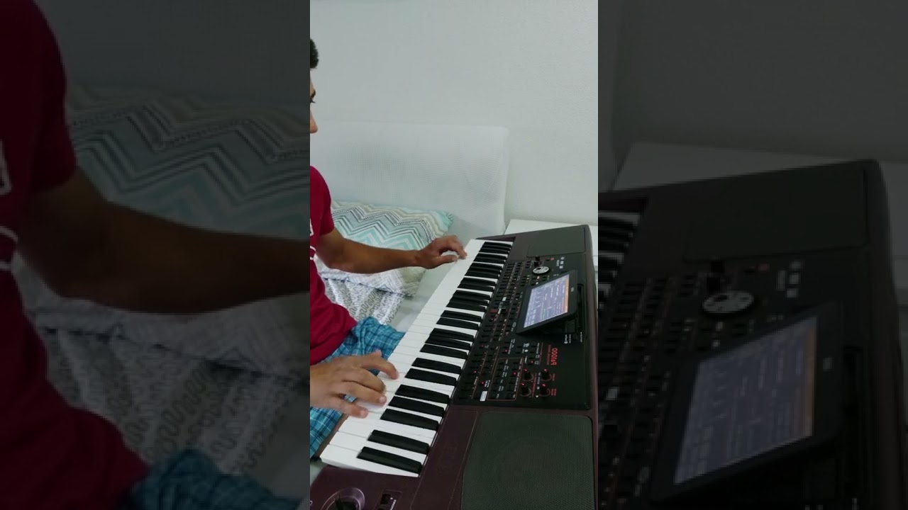 korg pa1000 Halid Bešlić - Zagrli me nježno