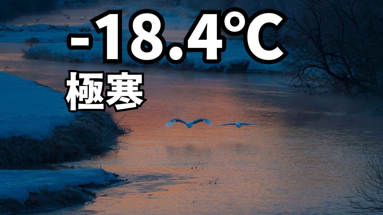 −18.4℃ 極寒キャンプ｜丹頂鶴が舞う冬の北海道