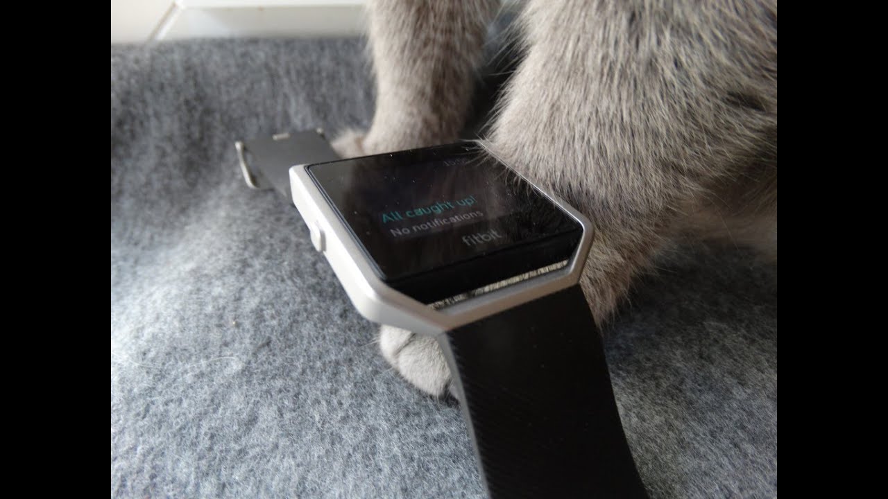 Fitbit Blaze - Recenzja - Podsumowanie - Smartwatched.pl