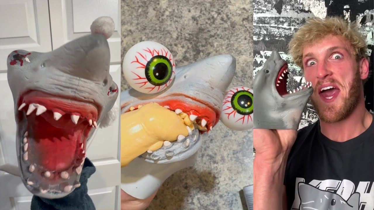 Shark Puppet TikTok Compilation 2025 - NEW Shark Puppet TikTok Videos