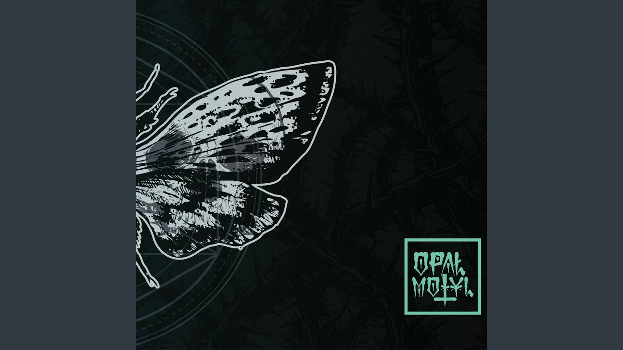 Imago