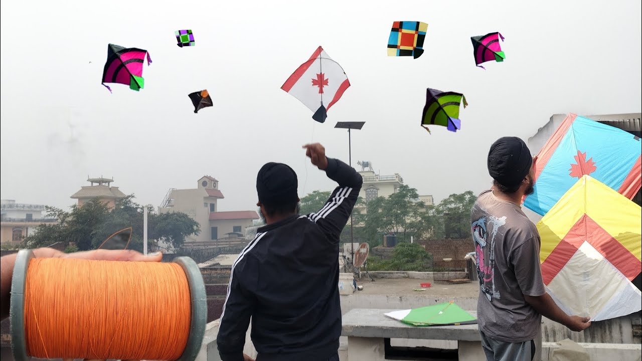 Testing black panther feel Door | 24 Kites cut🪁 kite flying •••