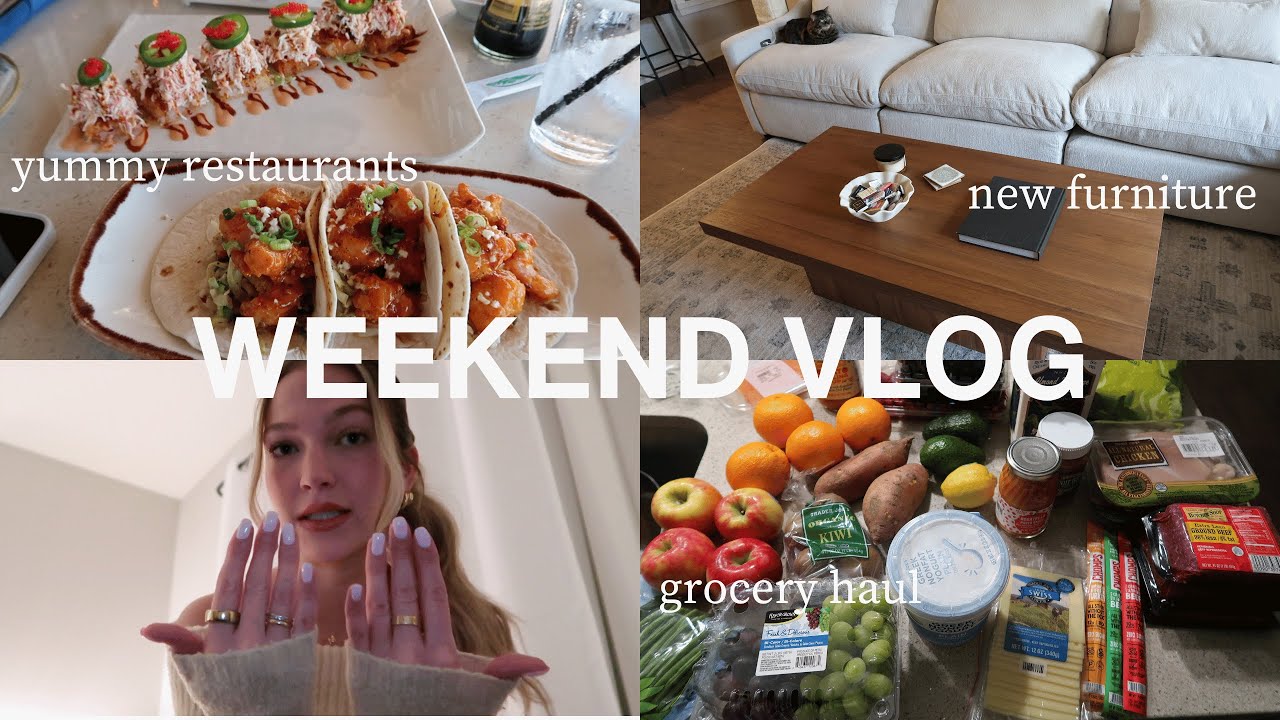VLOG: new furniture, trying restaurants around charleston, appointments + TJ's haul | maddie cidlik