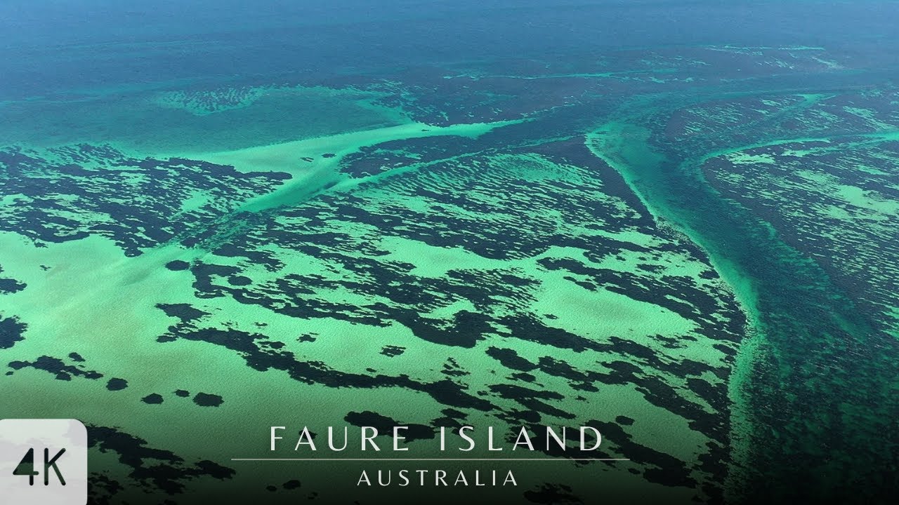 Bird’s Eye View of Faure Island, Australia!